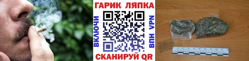 Купить закладки  Карачаевск  ГАШ Premium 