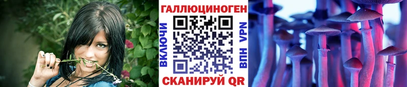 Галлюциногенные грибы Cubensis  Купить закладки  Карачаевск 